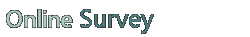 Online Survey