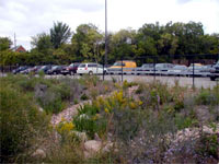 Miller Brewing Company Green Parking Lot