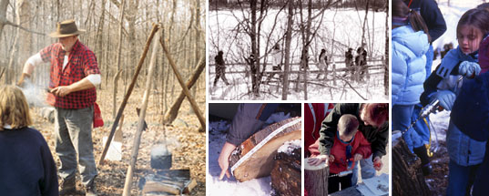 Maple Sugar Days: sap boildown, hike to the sugarbush, measuring and drilling trees