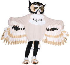 An owl character in the Enchanted Forest