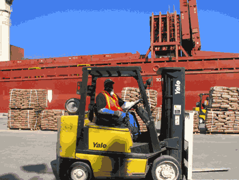 ILA forklift driver