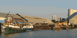 Some of the Gillen Co's fleet in the Port's Mooring Basin. Gillen, a marine contractor, has three land leases with the port.