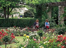 In the Rose Garden at Boerner Botanical Gardens
