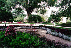 fountain