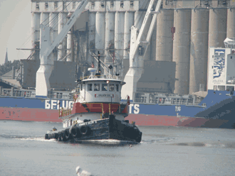 Gillen tug in Mooring Basin